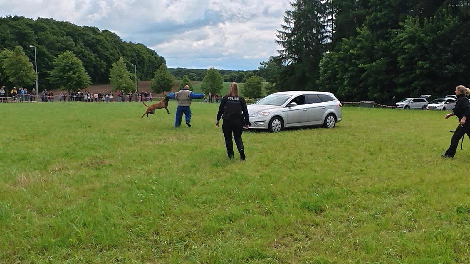 De groussen Dag vun der Police zu Réiden
