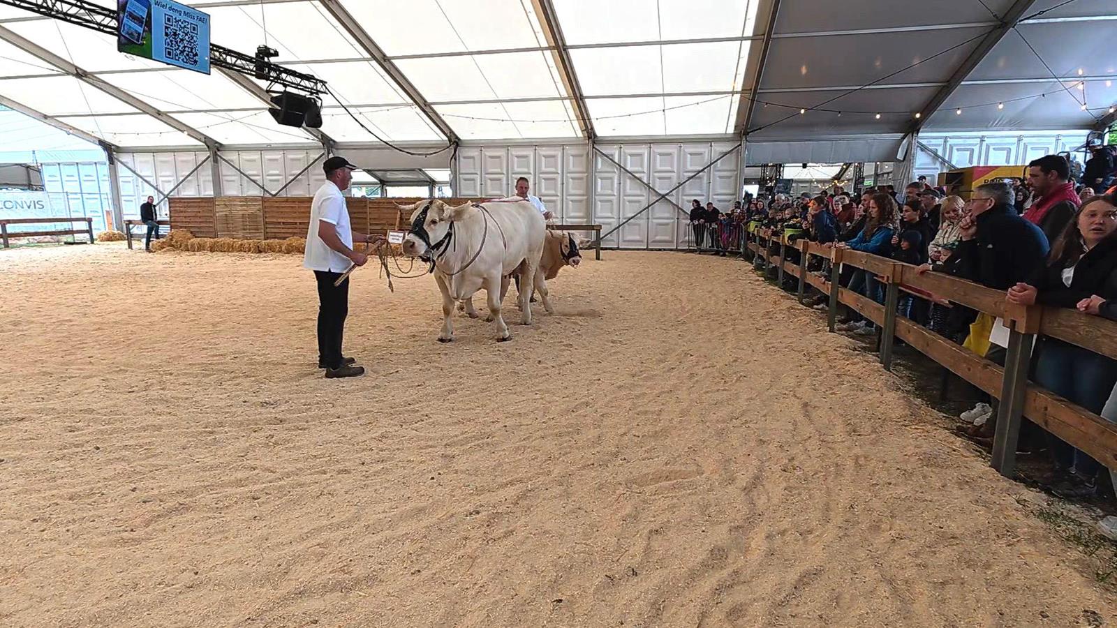 D'Foire agricole zu Ettelbréck och dëst Joer e Publikumserfolleg