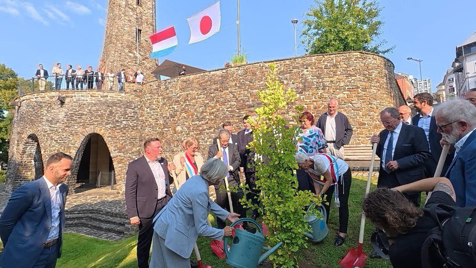 Gedenken un d'Affer vun Hiroshima an Nagasaki zu Wooltz