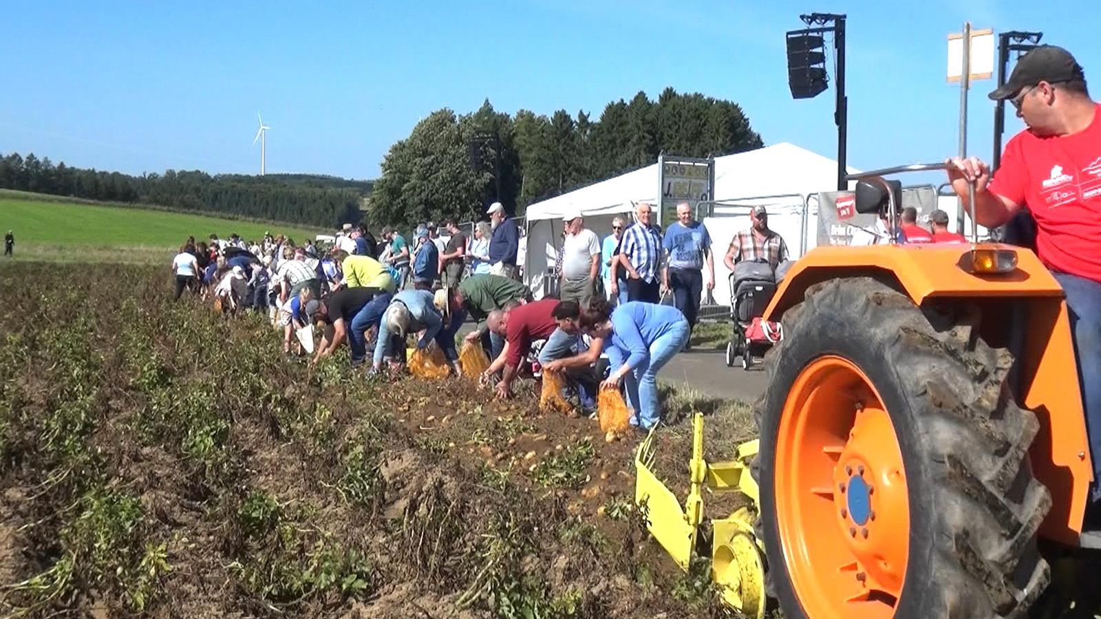 D'Gromper stung nees am Mëttelpunkt zu Bënzelt