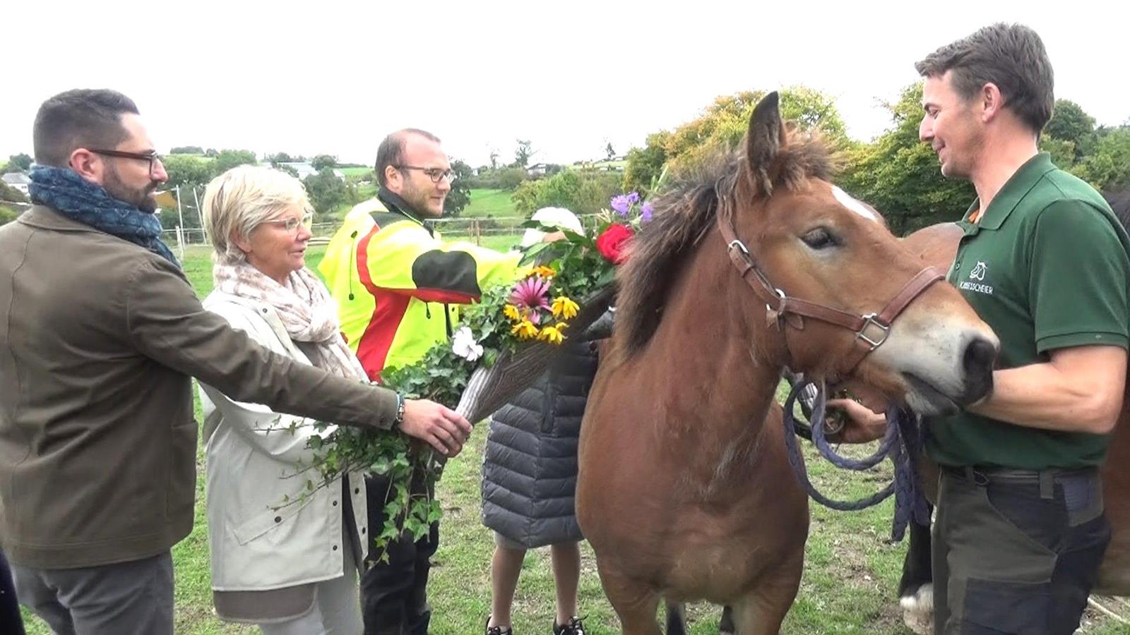 D'Ardennerpäerd am Mëttelpunkt zu Munzen