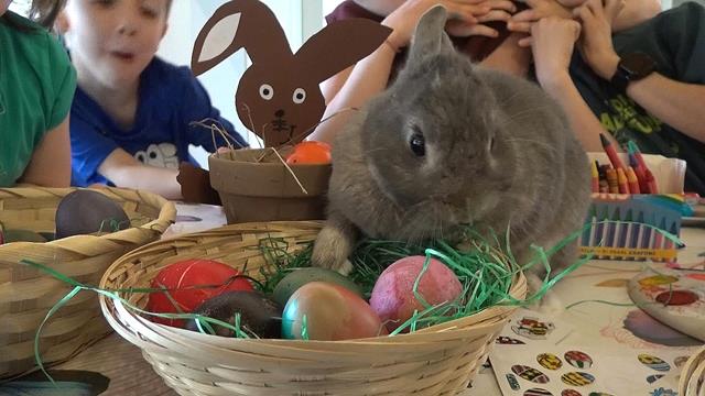 NORDLIICHT 15.04 + 22.04.2026