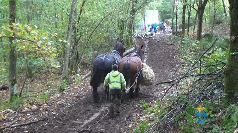 Bëschfest um Buerfelt - Emissioun vum 30.10.19