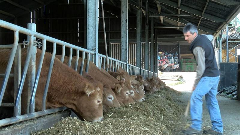 D'Landwirtschaft an der Corona-Kris